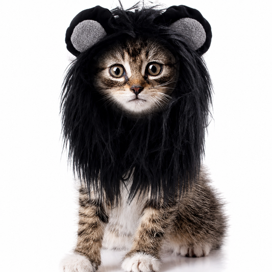 Pawtopia Pet Mane Costume