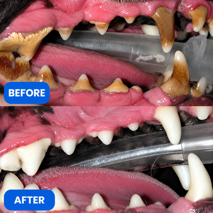 Pawtopia Dog Teeth Cleaner™