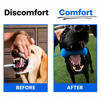 Pawtopia Dog Teeth Cleaner™