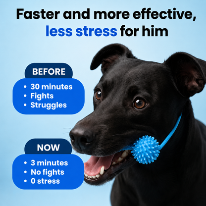 Pawtopia Dog Teeth Cleaner™